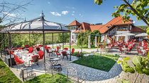 Private tour to Dracula's Grave, Wine Cellar and Medieval Palace 
