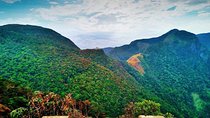 Day Tour of Nuwara Eliya