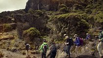 6Days _Hiking _Machame _Route _Kimanajaro _Mountain 