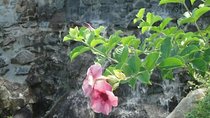 St Lucia Northern Island Tour