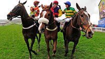 A Day At The Races & the Horse Lovers Tour