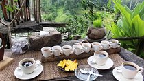Bali INTERESTED 2 Days(Middle, North, South) BEAUTIFUL BALI Customized Packages