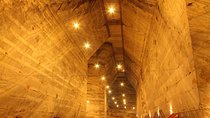 The Salt Mines, The Winery, The Muddy Volcanoes! The Fixers Private Tour
