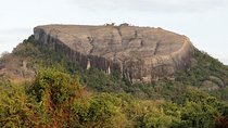 Pidurangala Rock All Inclusive Day Tour From Colombo