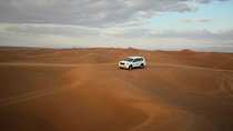The True Bedouin Experience