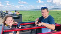 Yala National Park Private Safari (All Inclusive) From Hikkaduwa
