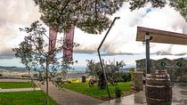 Wine Fountain Tour from Koper