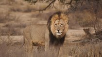 6 Day Private Guided Accommodated Namibian Loop 