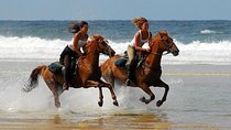 Horse Riding Agadir