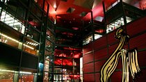 Private Tour in Reina Sofía Museum, Madrid