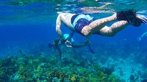 Glass Bottom Boat Ride/Snorkeling/Booby Cay Island from Negril