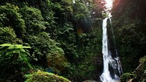 Bali Overnight 2 Days 1 Night: Mt.BATUR KINTAMANI - NORTH BALI LOVINA with HOTEL