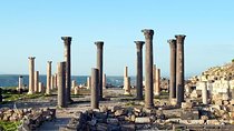 Jerash, Ajloun and Umm Qais Day Tour From Amman 