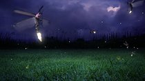 Glowing Kuala Selangor Firefly Tour