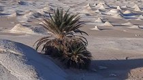 Overnight tour to Baharyia Oasis( Black&White desert with the Crystal mountain)
