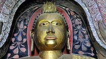 Scenic Train Ride from Kandy & 3 Temples - Highlights Tour
