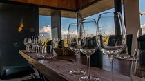 Small group tour in 3 wineries in North Uco Valley with lunch