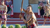 Rotorua Highlights Tour inc. Te Puia Tour, Lunch & Cultural Show