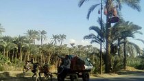 Private Cairo local food and countryside life tour 