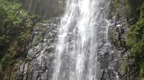 Materuni Waterfalls and Coffee Tour 
