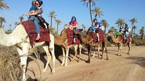 camel ride marrakech