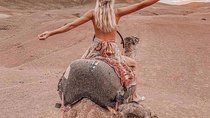 Camel Ride in the agafay desert