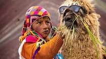 5 Day Incredibles Machu Picchu -All Included- in Cusco & rainbow mountain