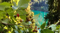 Tour to Kolsay and Kaindy Lakes 