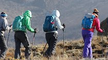 Day Trip Kilimanjaro Shira Plateau from Moshi