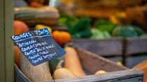 Best of Paris Private Walking Tour for Kids & Families