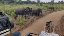 Hurulu Eco Park Safari 
