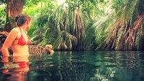Kikuletwa Hotspring Day Tour