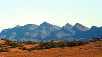 Lake Eyre and Flinders Ranges 4-Day Small Group 4WD Eco Tour