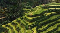 Private Ubud Tour