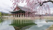 Seoul Highlights & Hidden Gems – Private Tour with Photo Service