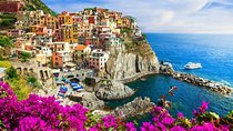 Cinque Terre Private with the leaning tower Pisa from Florence