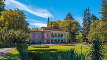 Kakheti Wine Tour, Кахетия -Винный Тур