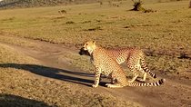 5 Day Kenya Budget Camping Group Safari Tour