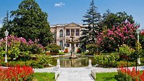 True Discovery: Full Day Tour and Cruise of Istanbul
