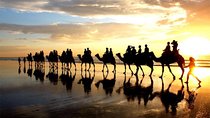 Camel Riding Agadir 
