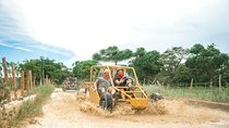 Dune Buggies and Cenote Cave Half Day Adventure 