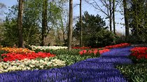 Private Day Trip to The Keukenhof Gardens and Zaanse Schans