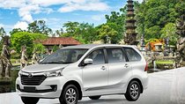 Bali Private Car and Customize Tour With English Speaking Driver