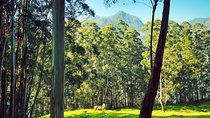 5 Days Budget Kerala Tour Packages by Sanguine Holidays