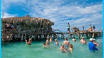 YS Falls, Black River Safari and Floyd Pelican Bar from Falmouth