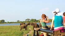 Private Jeep Safari to Kaudulla National Park