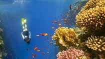 private over day tour From Luxor to Hurghada