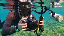 Snorkeling Trip At Paradise Island