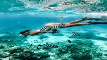 Bali Snorkeling Blue Lagoon and Tanjung Jepun All Included 