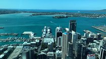 Auckland's heritage wine region & City Tours